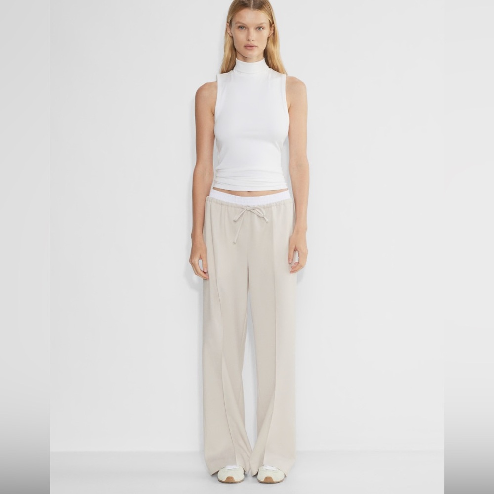 Aritzia Babaton Equity pants - XL